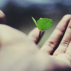 name_-gravity-_AdUs32i0jc-unsplash